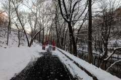 Snowy-trail