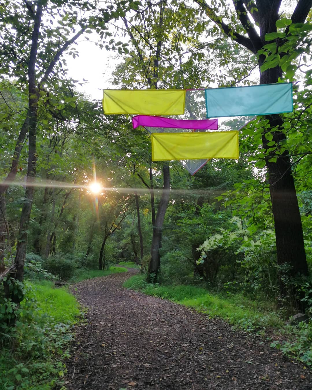 With sunlight piercing through the trees, the outdoor art installation Site Lines on the Karl Stirner Arts Trail by sculptor Rachel Hayes features colorful construction mesh and nylon flag fabric.