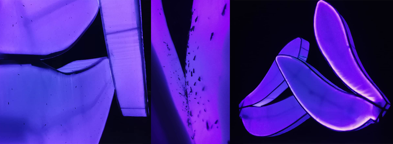 Looking blueish and purple at night through lighting, several views of the Love Motel for Insects artwork on the Karl Stirner Arts Trail in Easton, Pennsylvania
