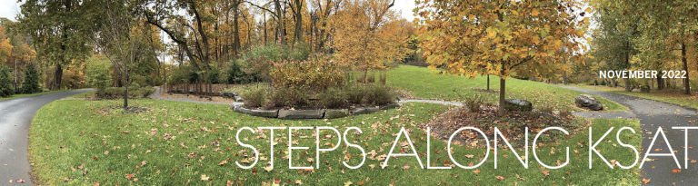 Image for the Steps Along KSAT November Newsletter includes a section of trees and paved trail on the Karl Stirner Arts Trail in Easton, Pennsylvania