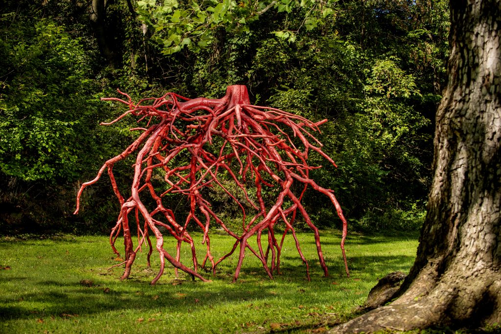 The red sculpture Late Bronze Root by Steve Tobin, made from reassembled castings of the delicate root system of a tree, is on the Karl Stirner Arts Trail in Easton, Pennsylvania.