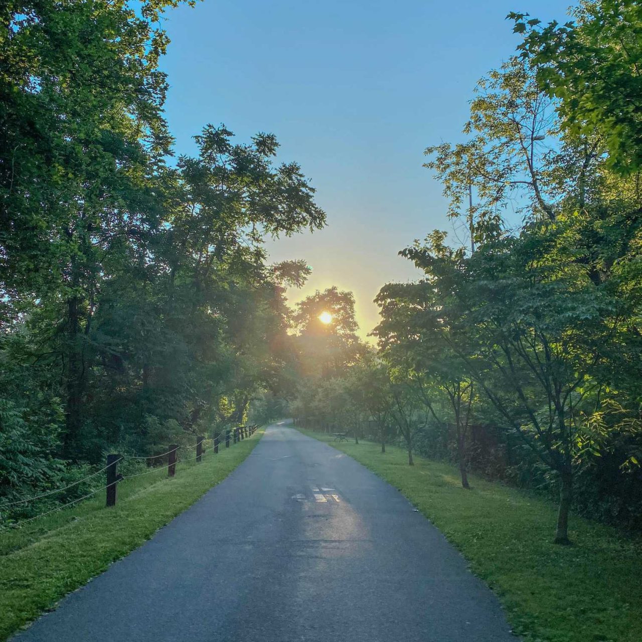 The sun shines behind a tree on the Karl Stirner Arts Trail in Easton, Pennsylvania.