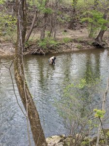 A fisherman stands in Bushkill Creek on Pink flowers on the Karl Stirner Arts Trail in Easton, Pennsylvania.