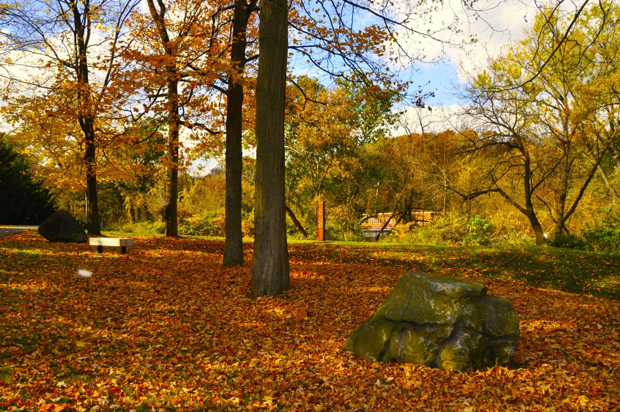 Autumn trees and leaves on the ground along the Karl Stirner Arts Trail in Easton, Pennsylvania
