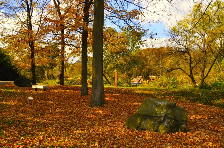 Autumn trees and leaves on the ground along the Karl Stirner Arts Trail in Easton, Pennsylvania